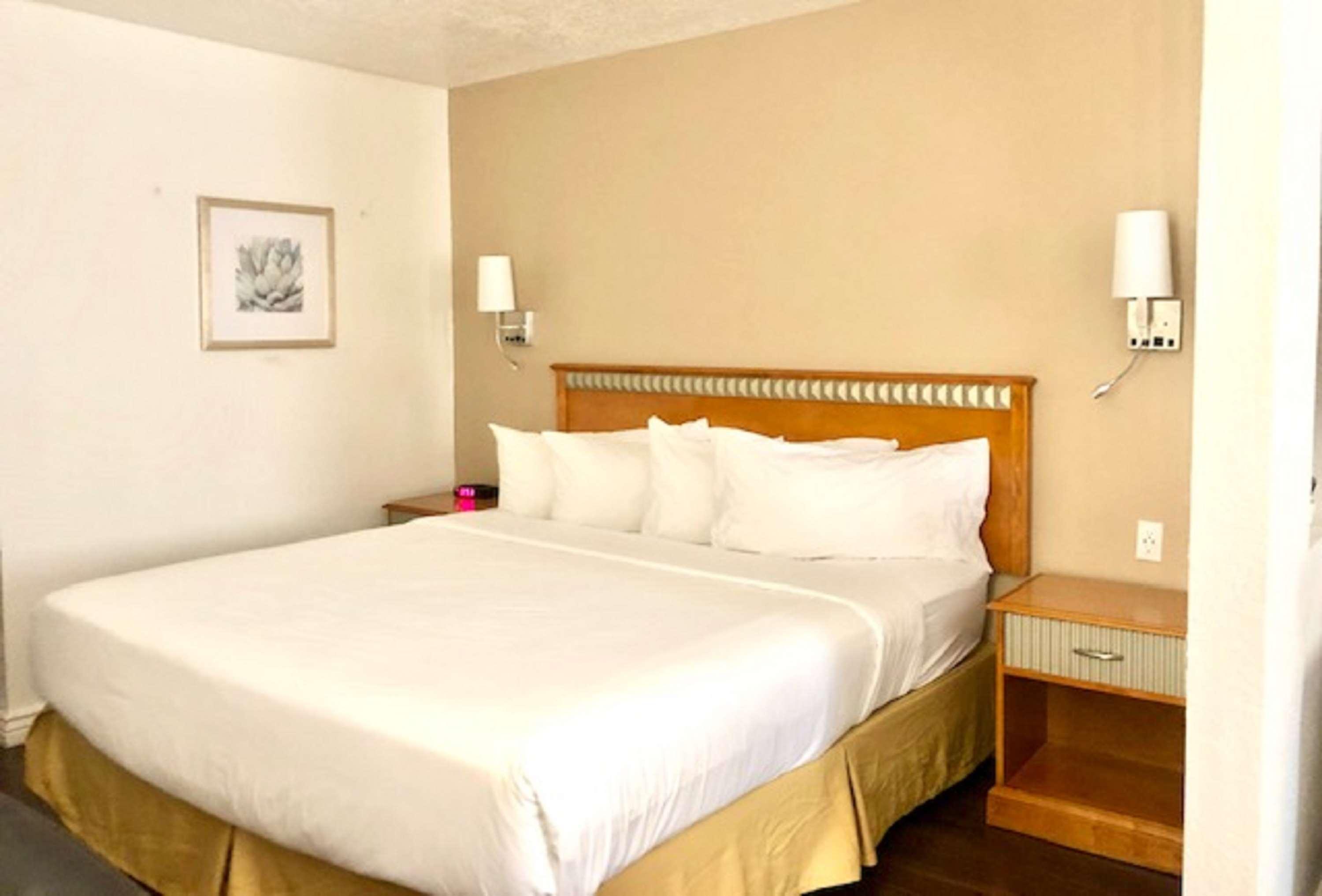 Surestay Plus Hotel By Best Western Albuquerque I-40 Eubank Kültér fotó