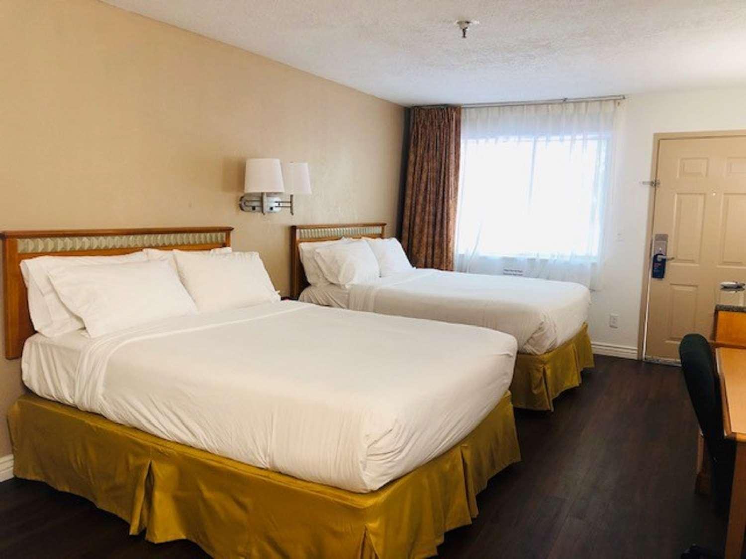 Surestay Plus Hotel By Best Western Albuquerque I-40 Eubank Kültér fotó